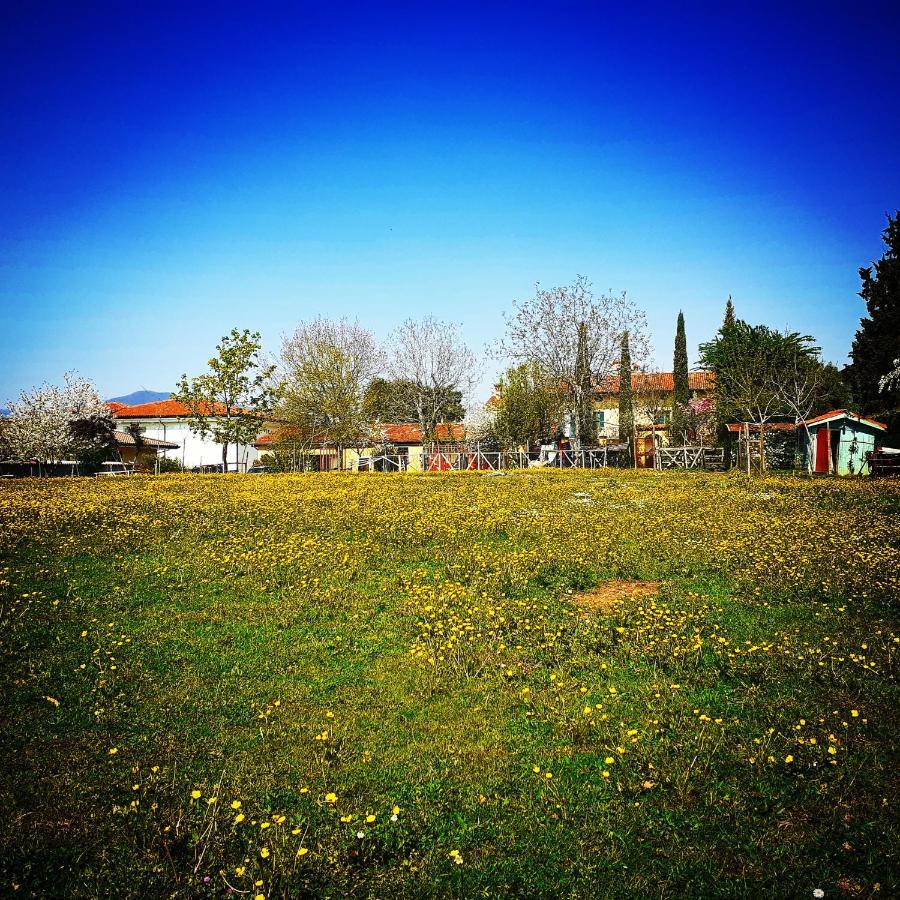 Cascina Corteprimavera, B&B Del Baliot Passirano Ngoại thất bức ảnh